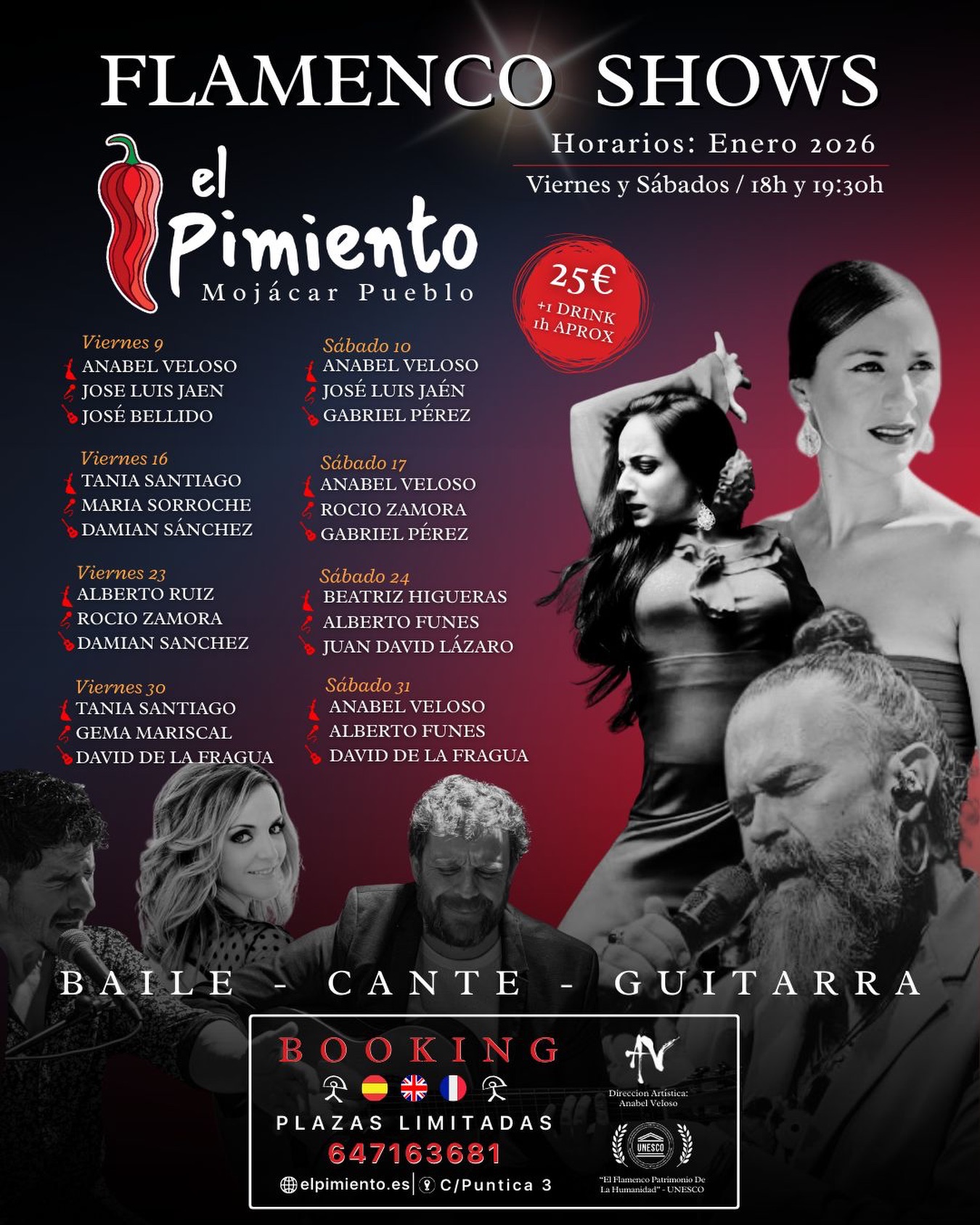 Espectáculos de flamenco 